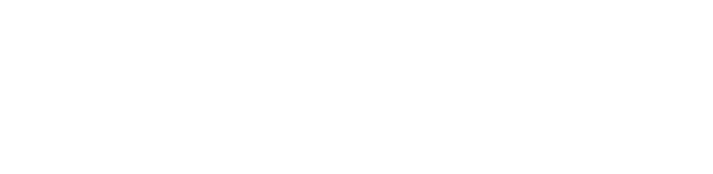 THE bgolfer